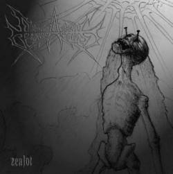 Draco Aerius : Zealot